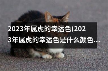 2025年属虎的幸运色(2025年属虎的幸运色是什么颜色)