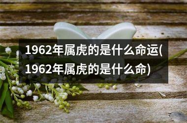 1962年属虎的是什么命运(1962年属虎的是什么命)