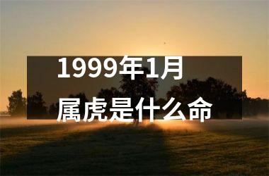 1999年1月属虎是什么命