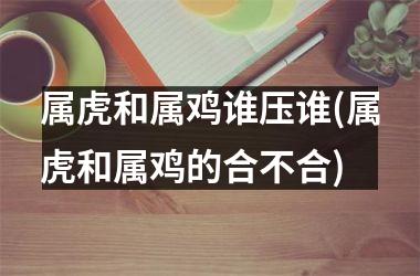 属虎和属鸡谁压谁(属虎和属鸡的合不合)