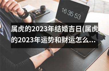 属虎的2025年结婚吉日(属虎的2025年运势和财运怎么样)