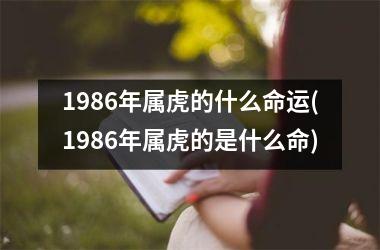 1986年属虎的什么命运(1986年属虎的是什么命)