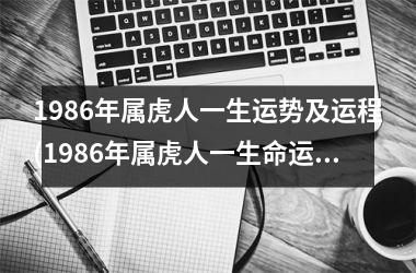 1986年属虎人一生运势及运程(1986年属虎人一生命运)