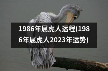 1986年属虎人运程(1986年属虎人2025年运势)