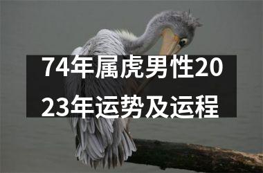 74年属虎男性2025年运势及运程