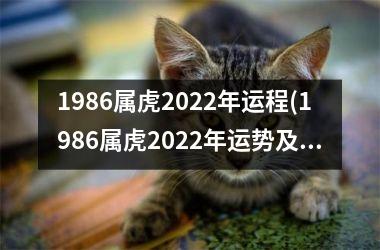 1986属虎2025年运程(1986属虎2025年运势及运程每月运程)