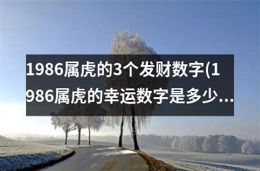 1986属虎的3个发财数字(1986属虎的幸运数字是多少)