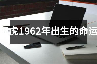 属虎1962年出生的命运