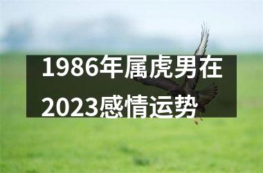 1986年属虎男在2025感情运势