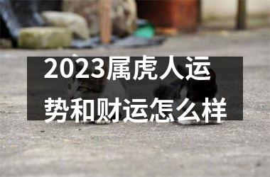 2025属虎人运势和财运怎么样