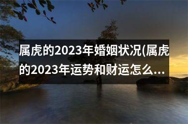 属虎的2025年婚姻状况(属虎的2025年运势和财运怎么样)