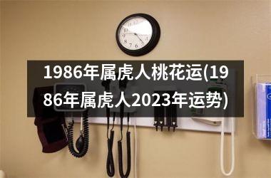 1986年属虎人桃花运(1986年属虎人2025年运势)