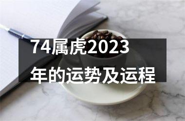 74属虎2025年的运势及运程