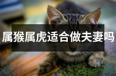 属猴属虎适合做夫妻吗