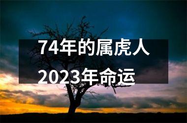 74年的属虎人2025年命运