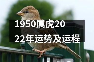 1950属虎2025年运势及运程