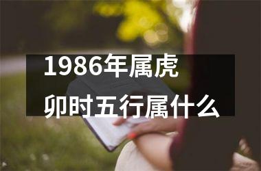 1986年属虎卯时五行属什么