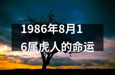 1986年8月16属虎人的命运