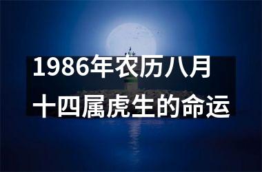 1986年农历八月十四属虎生的命运