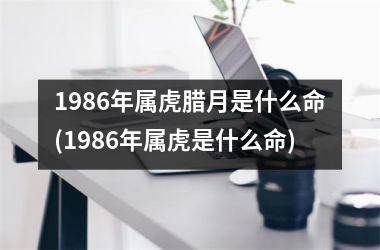 1986年属虎腊月是什么命(1986年属虎是什么命)