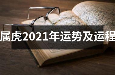 属虎2025年运势及运程