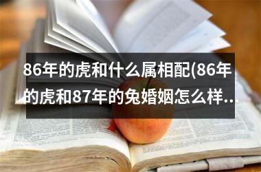 86年的虎和什么属相配(86年的虎和87年的兔婚姻怎么样)