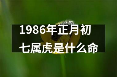 1986年正月初七属虎是什么命