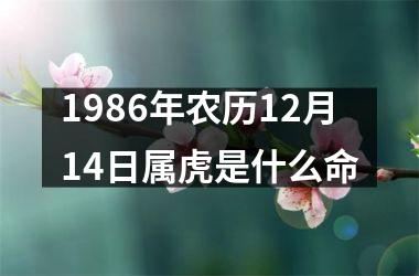 1986年农历12月14日属虎是什么命