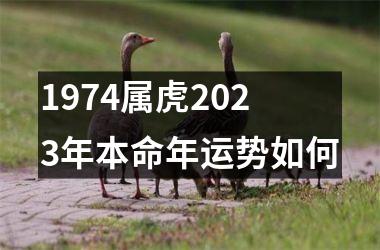 <h3>1974属虎2025年本命年运势如何