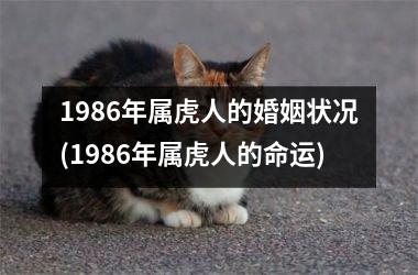 1986年属虎人的婚姻状况(1986年属虎人的命运)