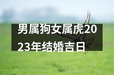 <h3>男属狗女属虎2025年结婚吉日