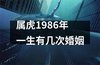 属虎1986年一生有几次婚姻