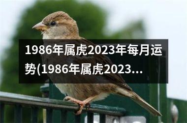 1986年属虎2025年每月运势(1986年属虎2025年运势及运程)