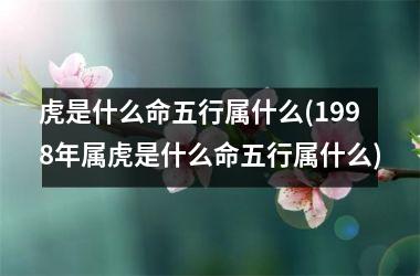 <h3>虎是什么命五行属什么(1998年属虎是什么命五行属什么)