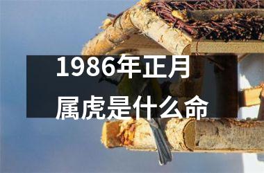 1986年正月属虎是什么命