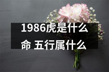 1986虎是什么命 五行属什么