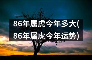 86年属虎今年多大(86年属虎今年运势)