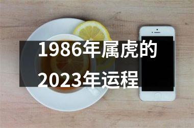 1986年属虎的2025年运程