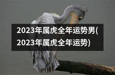 2025年属虎全年运势男(2025年属虎全年运势)