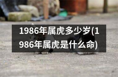 1986年属虎多少岁(1986年属虎是什么命)