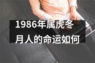 1986年属虎冬月人的命运如何