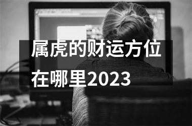 属虎的财运方位在哪里2025