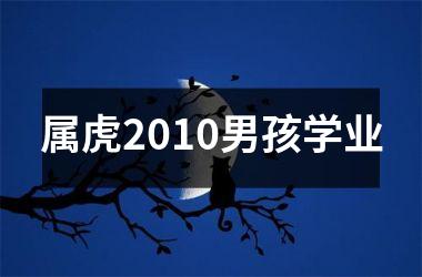 <h3>属虎2010男孩学业