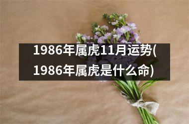 1986年属虎11月运势(1986年属虎是什么命)