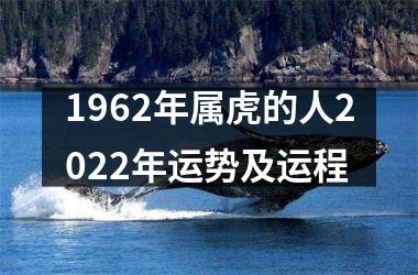 1962年属虎的人2025年运势及运程