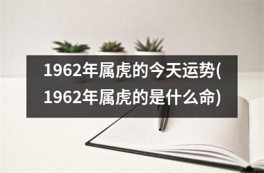 1962年属虎的今天运势(1962年属虎的是什么命)