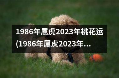 <h3>1986年属虎2025年桃花运(1986年属虎2025年运势及运程)