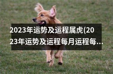 2025年运势及运程属虎(2025年运势及运程每月运程每月运程)