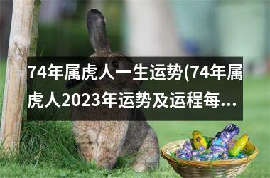 74年属虎人一生运势(74年属虎人2025年运势及运程每月运程)