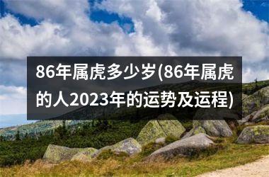 86年属虎多少岁(86年属虎的人2025年的运势及运程)